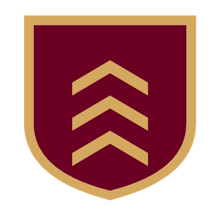 Security Staffing Solutions